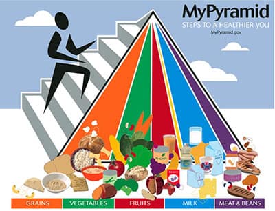 My Pyramid 2005